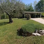 Krizanci Dom wakacyjny Žminj