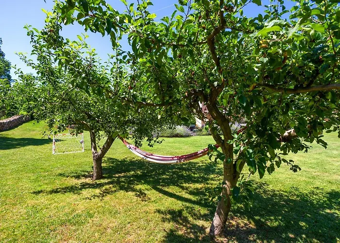 Krizanci Žminj