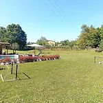 Krizanci