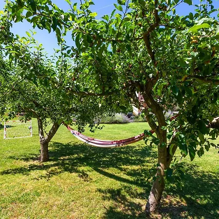 Krizanci Zminj